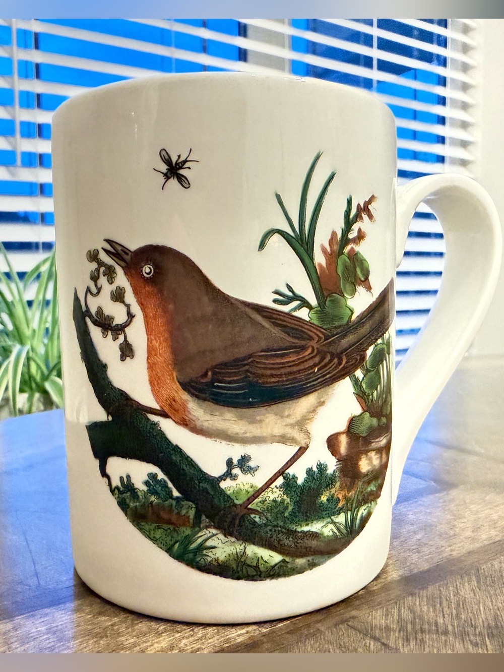 Portmeirion Birds of Britain Mug - E Donovan 1978 Made in England